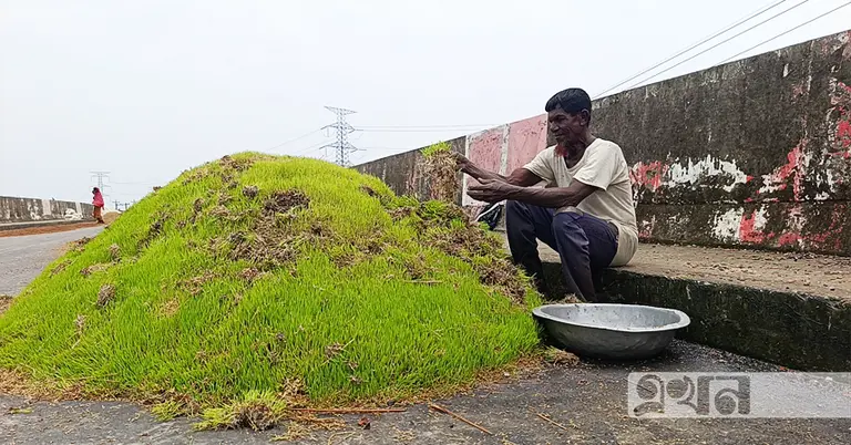 নষ্ট ফসলের সঙ্গে এক কৃষকের ছবি